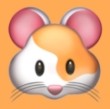 WWW,904av·COM网站APPAPP应用