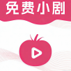 涛哥电视TV解锁VIP会员版
